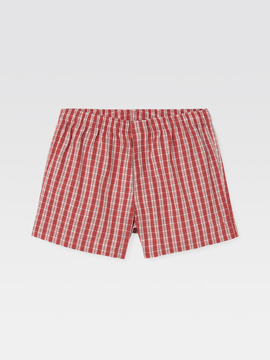 Male Boxer